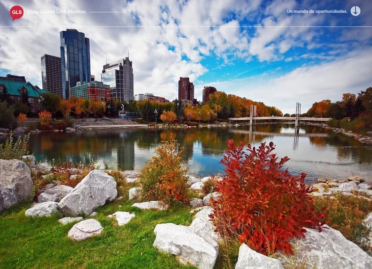 Toronto Garden