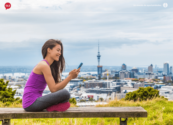 Auckland New Zealand panoramic