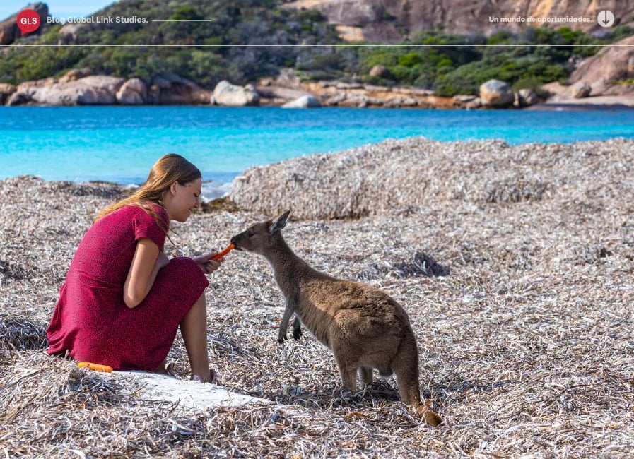 estudiar ingles en australia