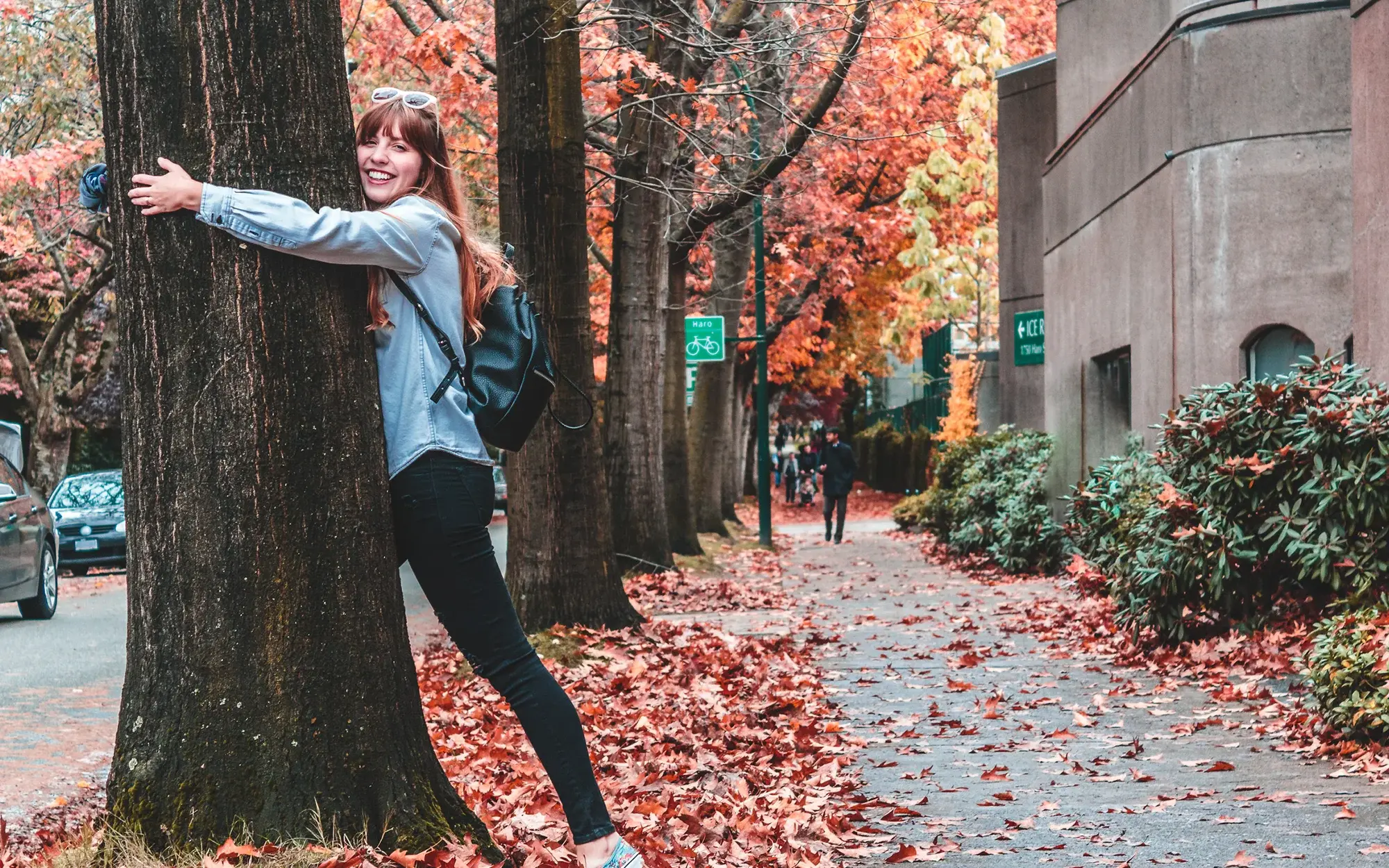 Estudiar en Quebec: costos, cursos y requisitos para 2026